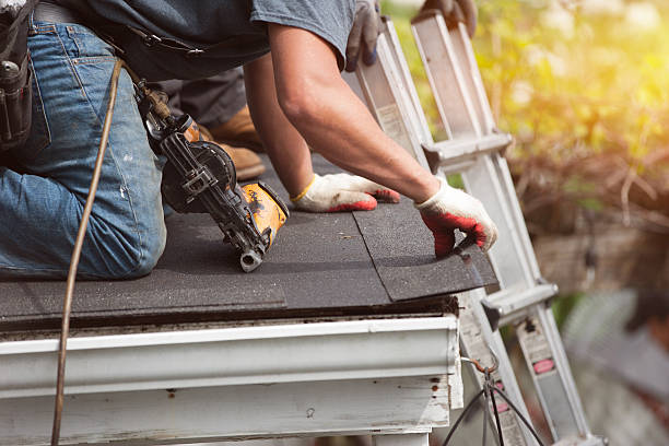 Best Roof Gutter Cleaning  in Sheldon, IA